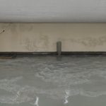 Companies That Clean Up Water in Basement